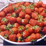 /photo.cms?msid=37050852