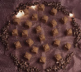 /photo.cms?msid=38058804